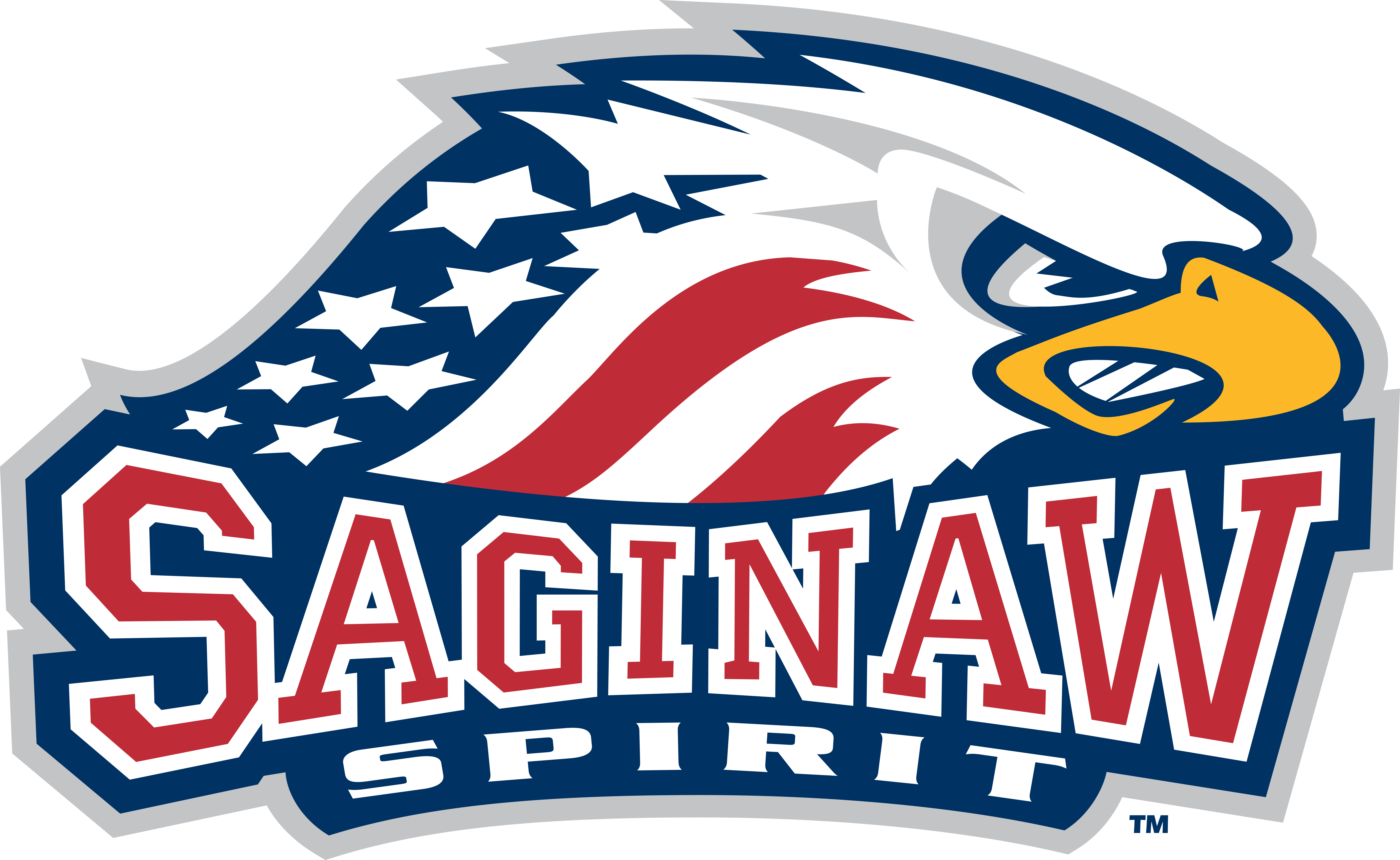 Saginaw Spirit logo