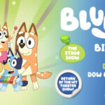 Bluey's Big Play